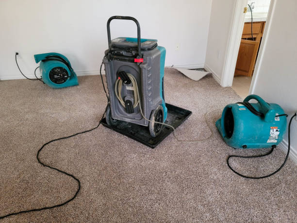 Best Fire Damage Restoration  in Mountain City, GA
