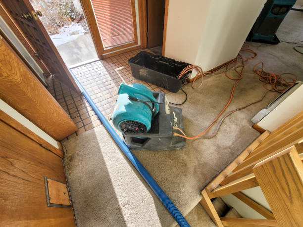 Best Commercial water damage restoration  in Mountain City, GA