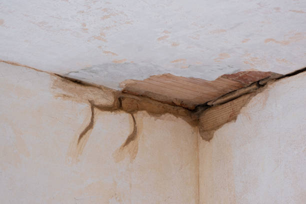 Best Commercial water damage restoration  in Mountain City, GA