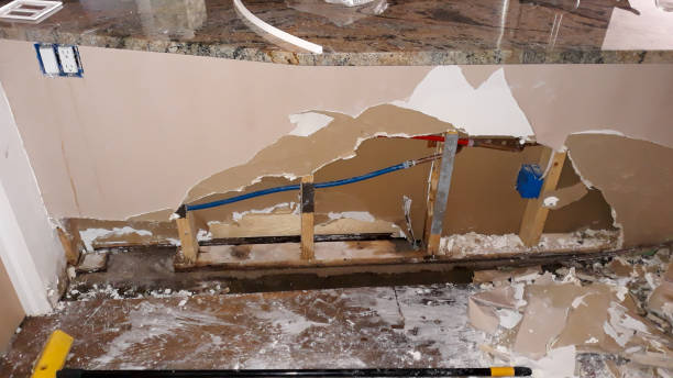 Best Water damage cleanup near me  in Mountain City, GA