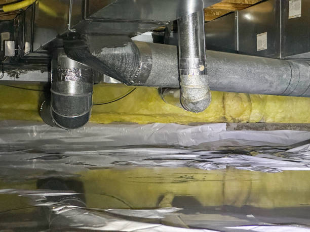 Best 24-hour water damage restoration  in Mountain City, GA