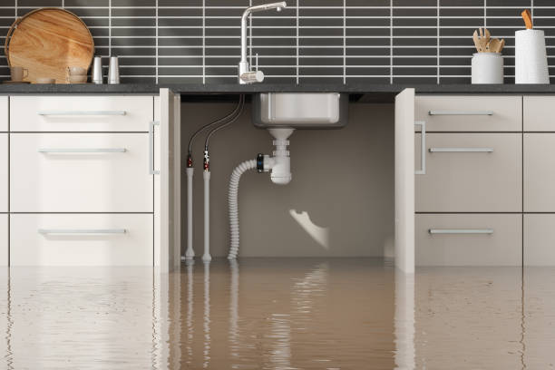  Mountain City, GA Water damage restoration Pros