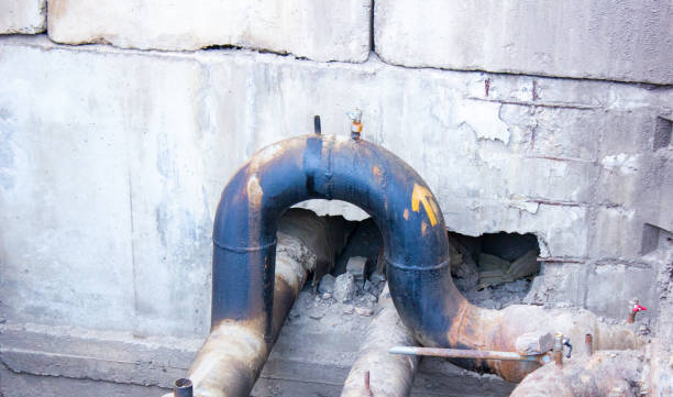Best Carpet water damage restoration  in Mountain City, GA
