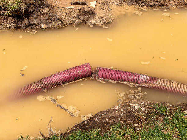 Best Carpet water damage restoration  in Mountain City, GA