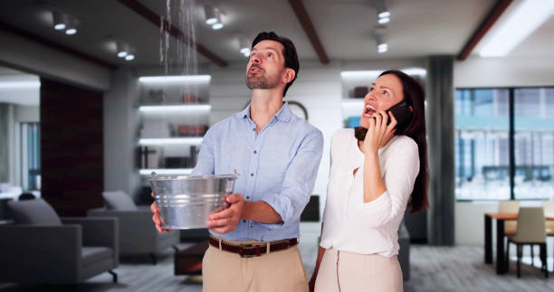 Best Water damage restoration insurance claims  in Mountain City, GA