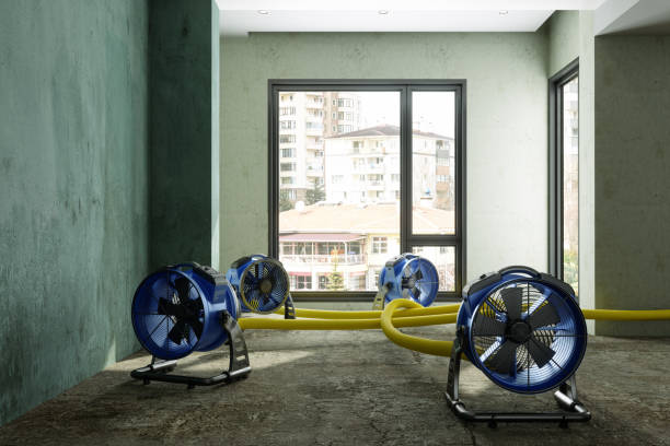 Best Water damage contractors near me  in Mountain City, GA