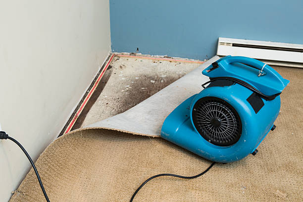 Best Flood restoration services  in Mountain City, GA
